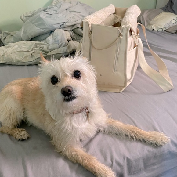 *SOLD* BEIS Everyday Pet Tote in Beige - Picture 2 of 8